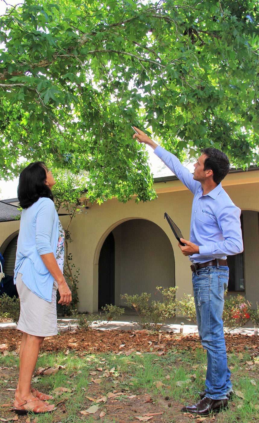 Aaron Bath, Director and Principal Consulting Arborist