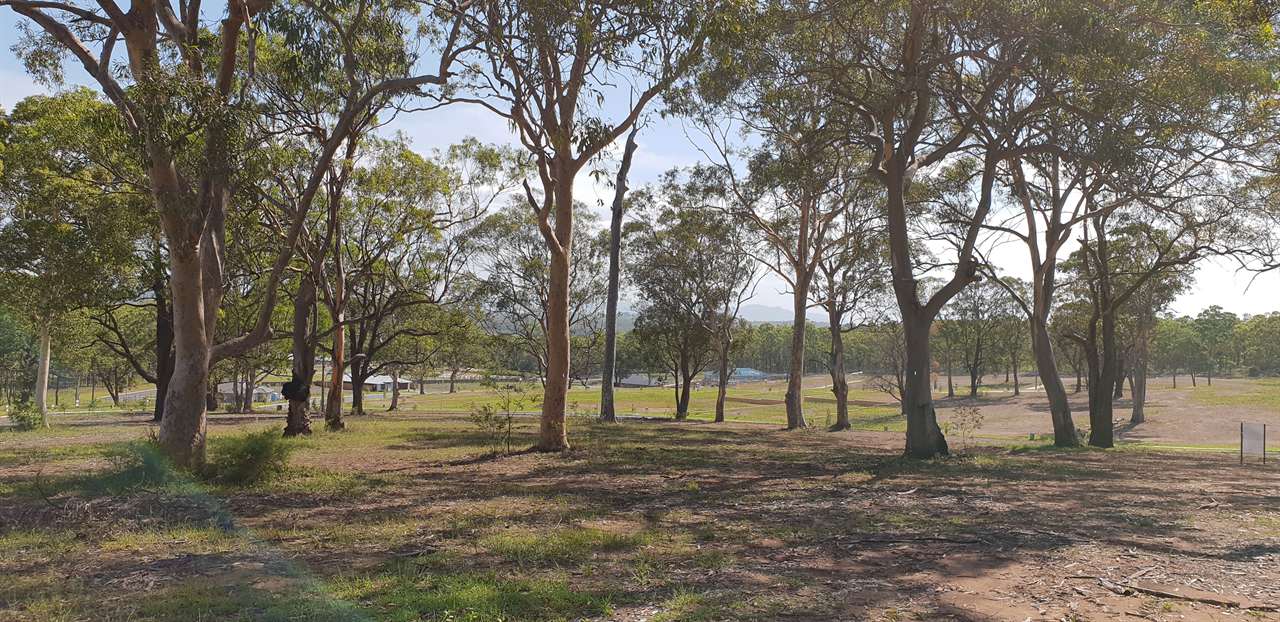 Arboricultural Impact Assessment site survey for NSW Development Application
